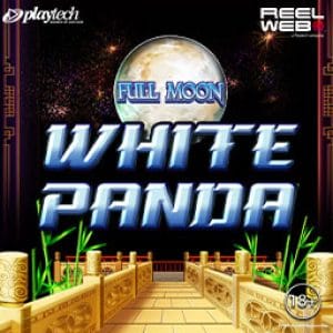 Full Moon_ White Panda